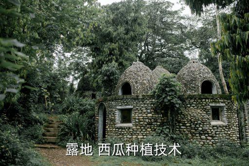 露天西瓜什么時(shí)候打農(nóng)藥