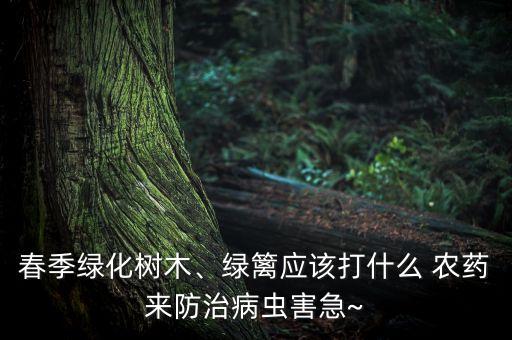 春季綠化樹木、綠籬應該打什么 農藥來防治病蟲害急~