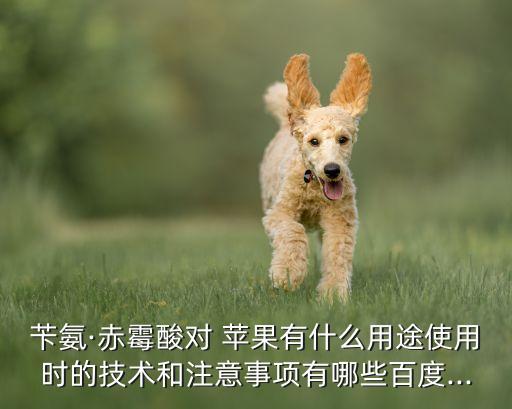 芐氨·赤霉酸對 蘋果有什么用途使用時的技術和注意事項有哪些百度...