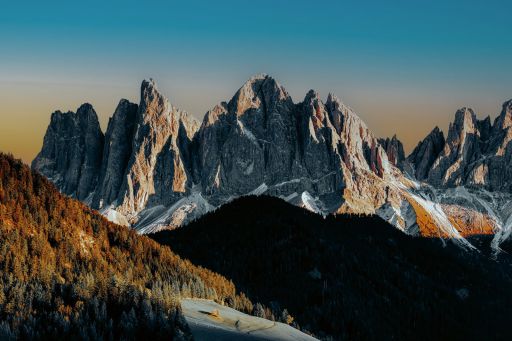 怪客農藥成分是什么,玉米伴侶農藥成分是什么