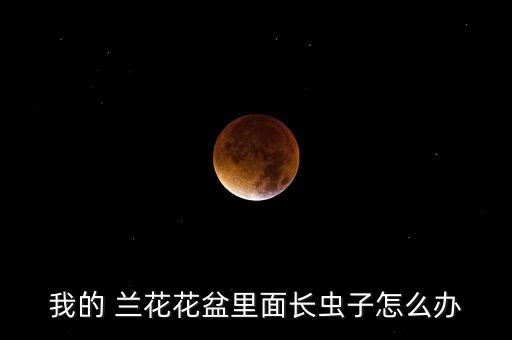 蘭花病蟲用什么農藥,蘭花要噴射什么農藥