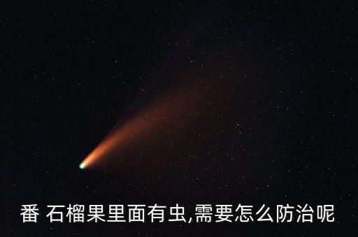 番 石榴果里面有蟲,需要怎么防治呢