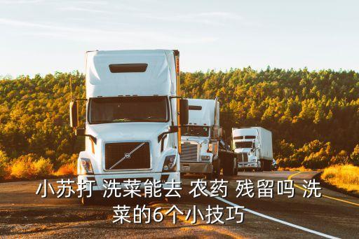 小蘇打 洗菜能去 農藥 殘留嗎 洗菜的6個小技巧