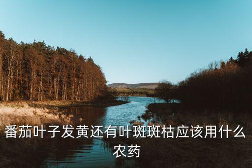 西紅柿要打什么農(nóng)藥