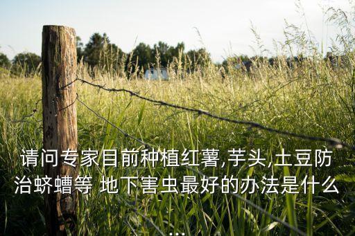 請問專家目前種植紅薯,芋頭,土豆防治蠐螬等 地下害蟲最好的辦法是什么...