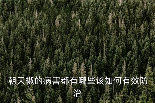 朝天椒噴什么農藥好