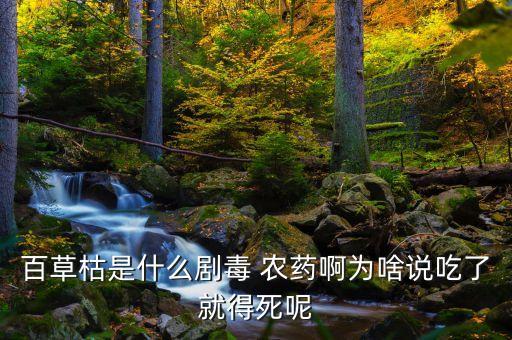 農藥毒功是什么藥,世界上最毒的農藥是什么