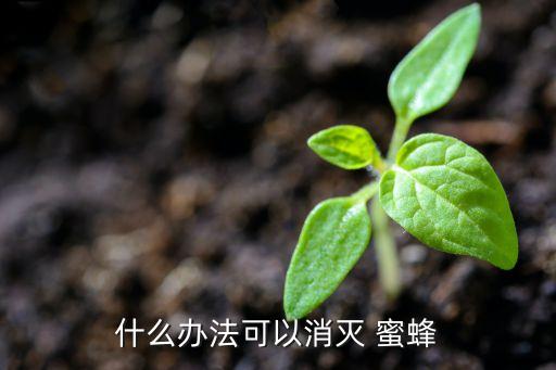 蜜蜂用什么打農藥好使呢,什么農藥對蜜蜂傷害最大