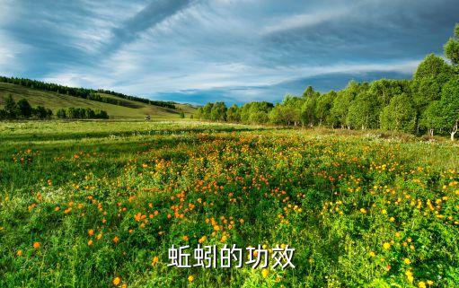 ,農藥蚯蚓克星是什么作用