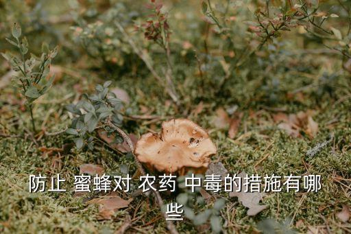 蜜蜂農藥中毒喂什么好,蜜蜂采農藥中毒幾天緩解