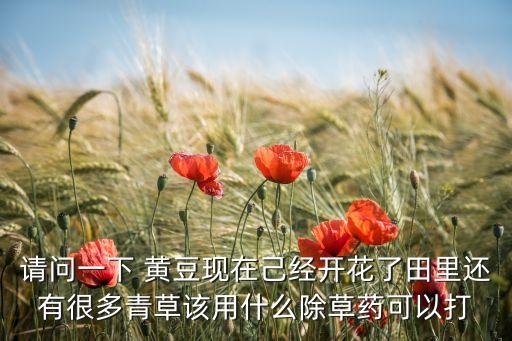 黃豆?fàn)€根打什么農(nóng)藥,黃豆打什么農(nóng)藥好