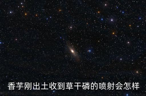 香芋苗進什么農藥,香芋用什么農藥最好