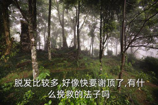 什么農藥會脫發,農藥頭皮上會脫發嗎