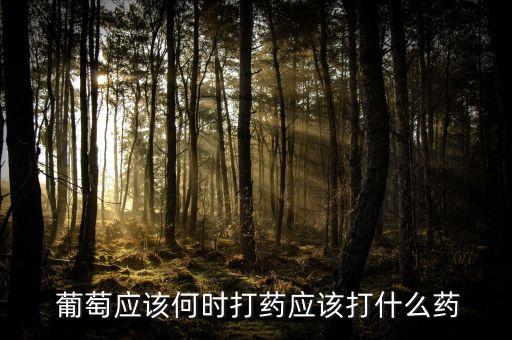 葡萄要打的農(nóng)藥叫什么,葡萄打的農(nóng)藥對(duì)人體有害嗎