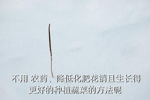 菜不用農藥有什么妙招,用什么方法不用農藥也可以殺蟲