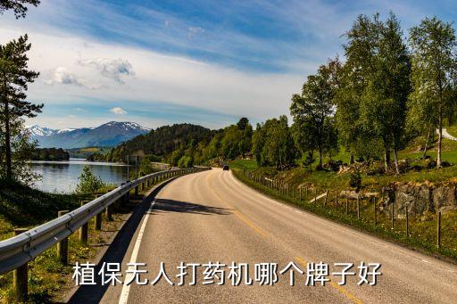 植保無(wú)人打藥機(jī)哪個(gè)牌子好