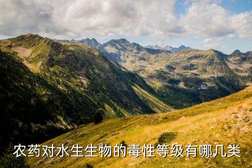 農藥中pbo是什么,PBO是什么縮寫