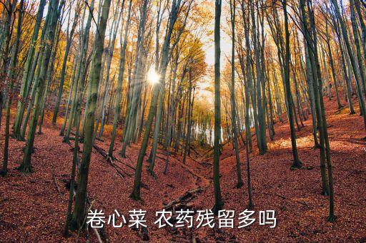 卷心菜 農藥殘留多嗎