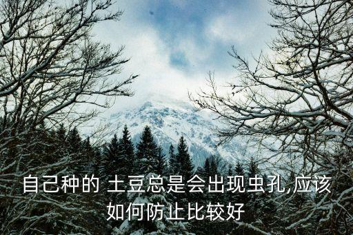 自己種的 土豆總是會出現(xiàn)蟲孔,應該如何防止比較好