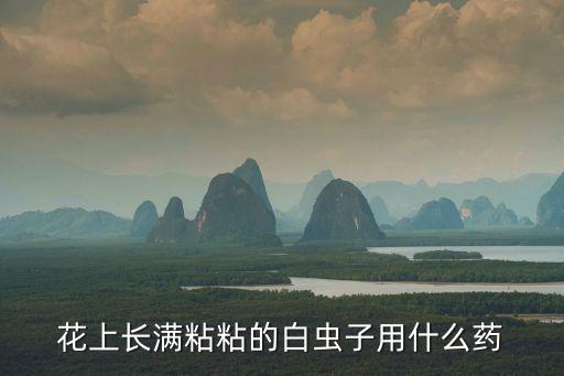 什么農(nóng)藥治蚜蟲效果好,白蚜蟲用什么農(nóng)藥