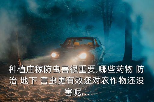 種植莊稼防蟲害很重要,哪些藥物 防治 地下 害蟲更有效還對農作物還沒害呢...