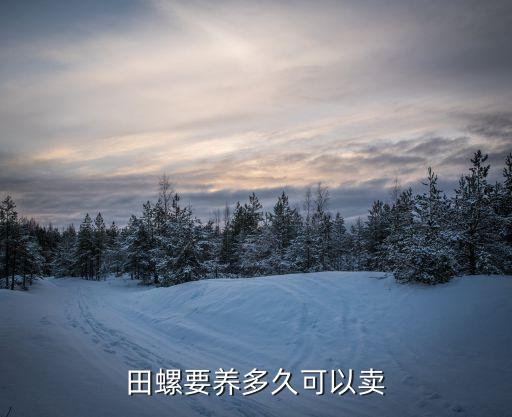 田螺要養多久可以賣