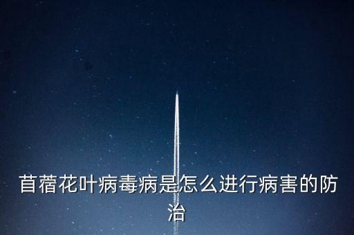 苜蓿花葉病毒病是怎么進(jìn)行病害的防治