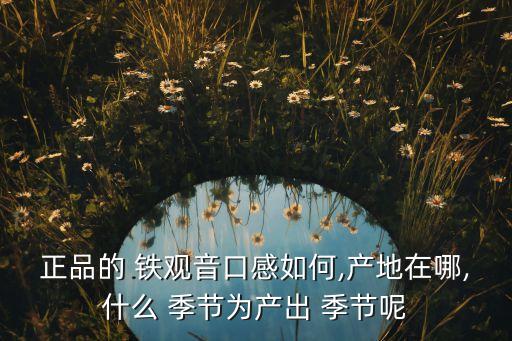 鐵觀音什么季節農藥最多,韭菜什么季節農藥最多