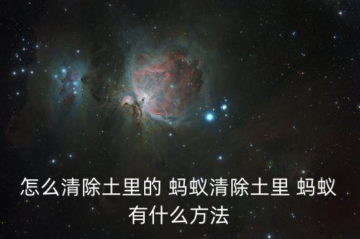 土豆地的螞蟻用什么農藥,什么農藥殺螞蟻最有效