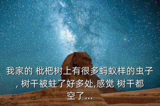 我家的 枇杷樹(shù)上有很多螞蟻樣的蟲子, 樹(shù)干被蛀了好多處,感覺(jué) 樹(shù)干都空了...