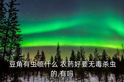  豆角有蟲噴什么 農(nóng)藥好要無毒殺蟲的,有嗎