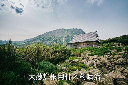 大蔥爛根用什么藥噴治