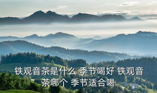鐵觀音茶是什么 季節(jié)喝好 鐵觀音茶哪個(gè) 季節(jié)適合喝