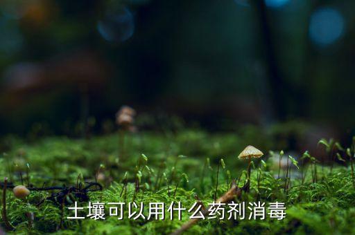 土壤可以用什么藥劑消毒