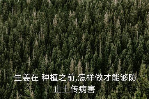 生姜在 種植之前,怎樣做才能夠防止土傳病害