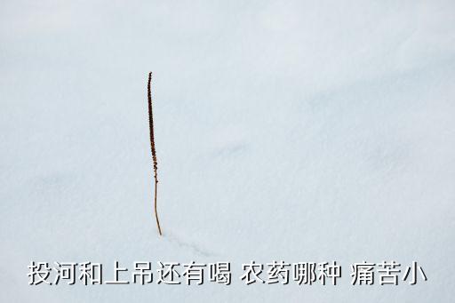 喝什么農藥痛苦少,喝農藥極度痛苦到底有多疼