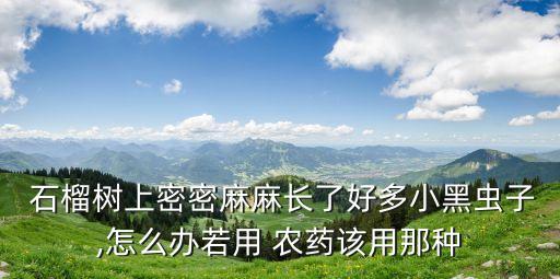 石榴樹上密密麻麻長了好多小黑蟲子,怎么辦若用 農藥該用那種