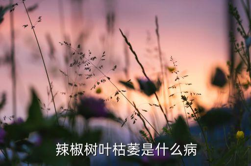 辣椒葉卷噴什么農(nóng)藥,辣椒卷葉怎么治療