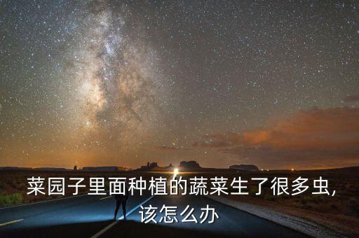 菜園子里面種植的蔬菜生了很多蟲,該怎么辦