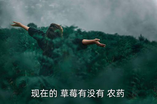 現在的 草莓有沒有 農藥