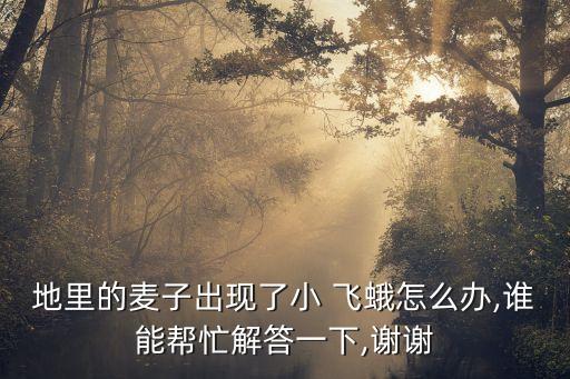 稻田飛蛾用什么農藥,蝦稻田打什么農藥