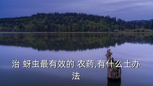 治 蚜蟲最有效的 農藥,有什么土辦法