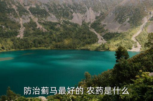 什么么農藥殺蟲最好,殺蟲卵效果最好的農藥