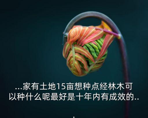 ...家有土地15畝想種點經林木可以種什么呢最好是十年內有成效的...