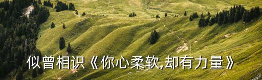 似曾相識《你心柔軟,卻有力量》