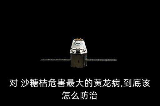 沙糖桔黃斑用什么農(nóng)藥,脂點(diǎn)黃斑病用什么農(nóng)藥好