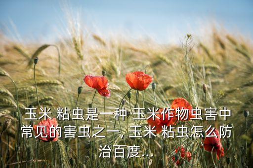 玉米粘蟲用什么農藥好