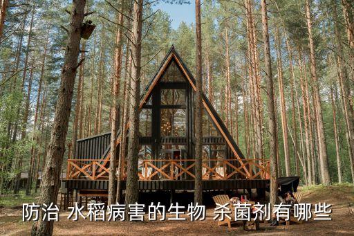 水稻用什么農(nóng)藥殺菌劑,水稻農(nóng)藥什么時間打效果最好