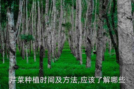 芹菜種植時間及方法,應該了解哪些