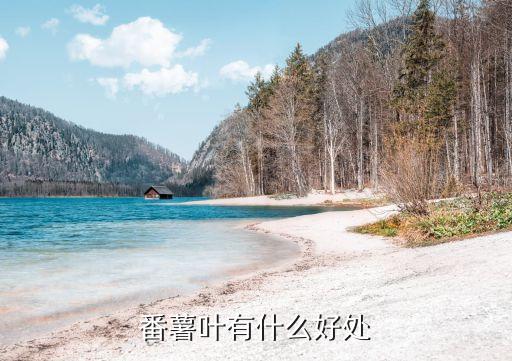 番薯葉有什么好處